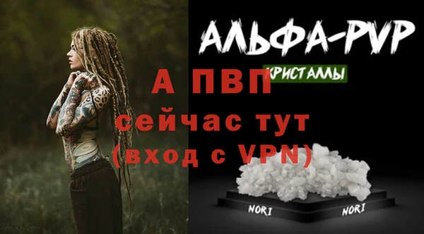 шишки Богородск