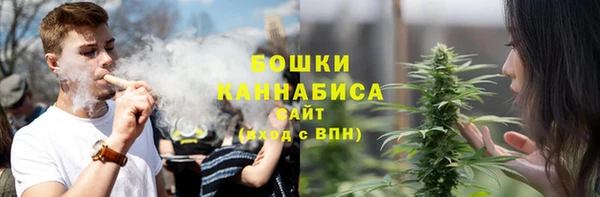 молекула духа Богданович