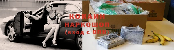 молекула духа Богданович