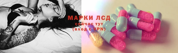 шишки Богородск