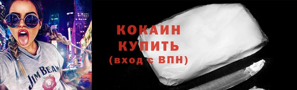 молекула духа Богданович