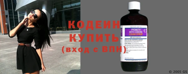 молекула духа Богданович