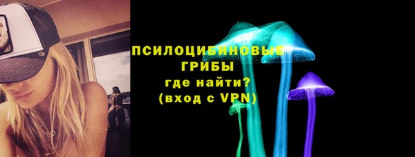 винт Лагань