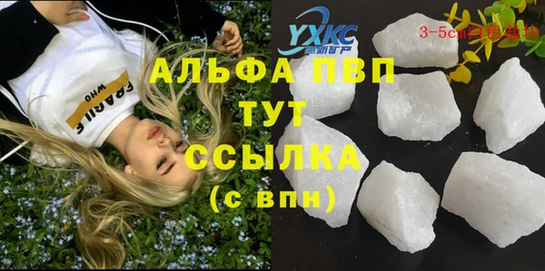 шишки Богородск