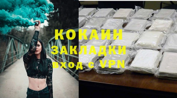шишки Богородск