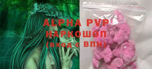 молекула духа Богданович