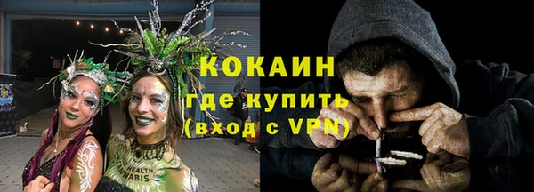 молекула духа Богданович
