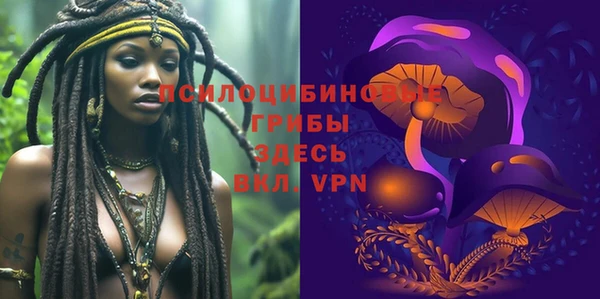 шишки Богородск