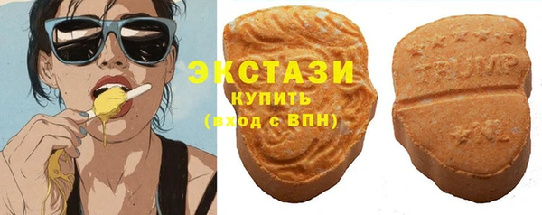 молекула духа Богданович