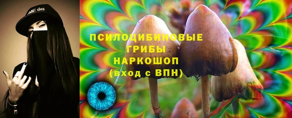 молекула духа Богданович