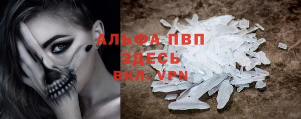 молекула духа Богданович