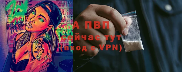 твердый Белокуриха
