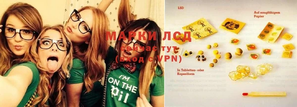 молекула духа Богданович