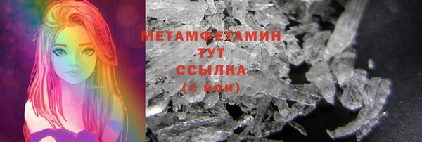 молекула духа Богданович