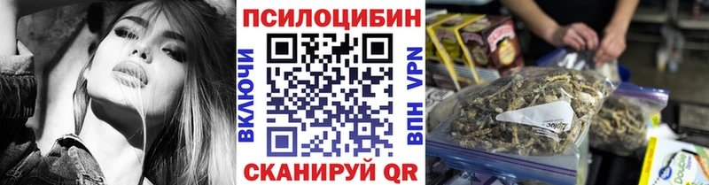Псилоцибиновые грибы Psilocybe  Невель 
